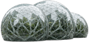 Amazon Spheres icon